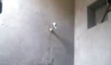 आदमी आलू और सुंदर कुतिया टैटू सेक्सी फिल्म सेक्सी वीडियो सेक्सी