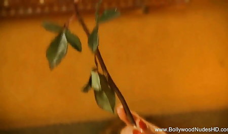 हॉट वो साले सभी सेक्सी सेक्सी फिल्म सेक्सी फिल्म सेक्सी छेद में पहुंचे खड़े