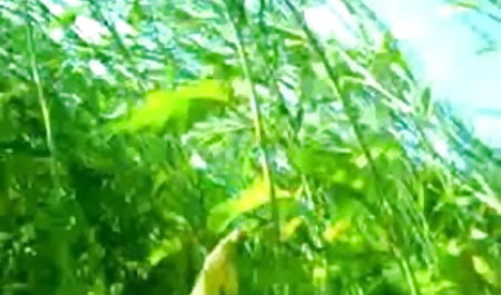 असली रूसी घर का बना सेक्सी पिक्चर भेजो इंग्लिश में अश्लील