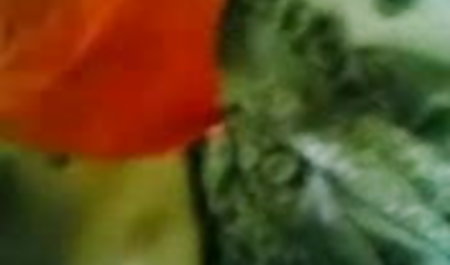 लेटेक्स पोशाक में तृप्ति हॉलीवुड की सेक्सी ब्लू फिल्म थरथानेवाला